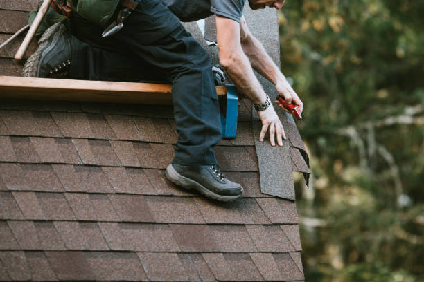Best Local Roofing Companies  in Cornell, WI
